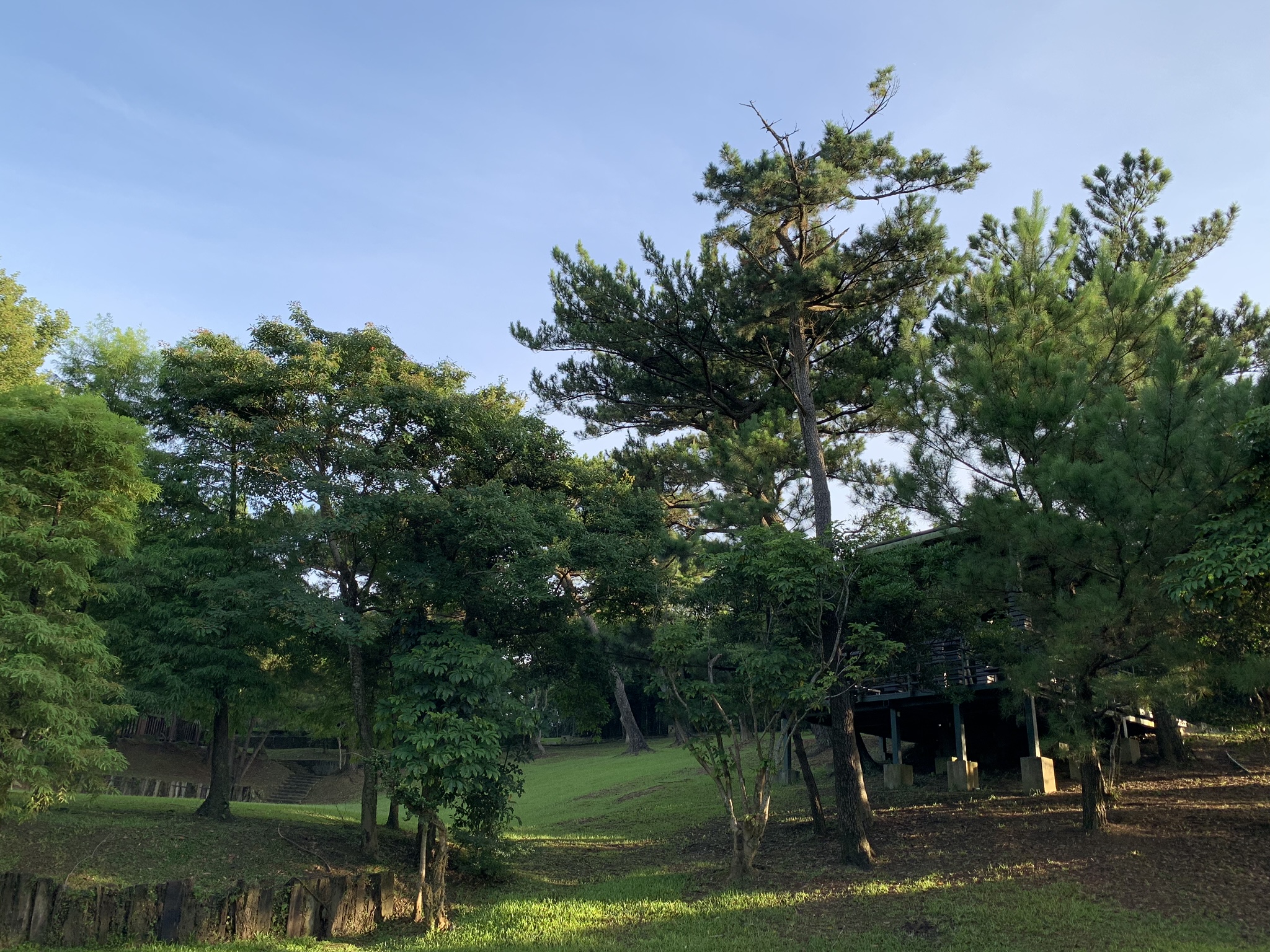 遊憩草皮實景